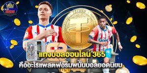 แทงบอลออนไลน์ 365 คืออะไรแพลตฟอร์มพนันบอลยอดนิยม