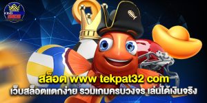สล็อต www tekpat32 com เว็บสล็อตแตกง่าย รวมเกมครบวงจร เล่นได้เงินจริง